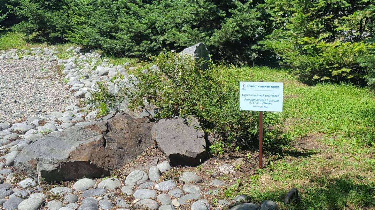 Новая жизнь экологической тропы ВГУЭС