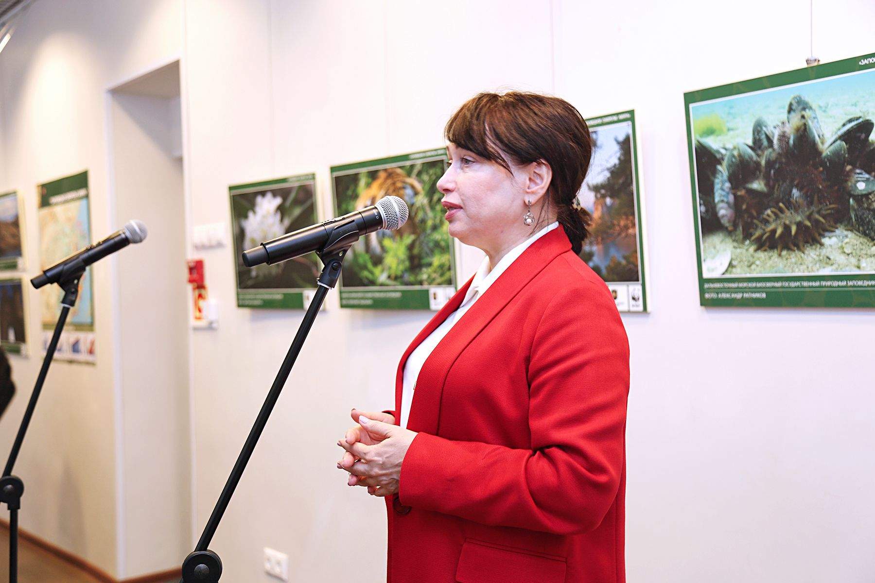 Выставка «Заповедное ожерелье Амура» в Музее ВГУЭС: уникальные фотографии животных и растений