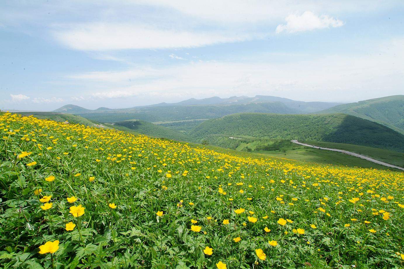 В «Чемпионе» ВГУЭС открылась выставка «Цзилинь – испытай радость»