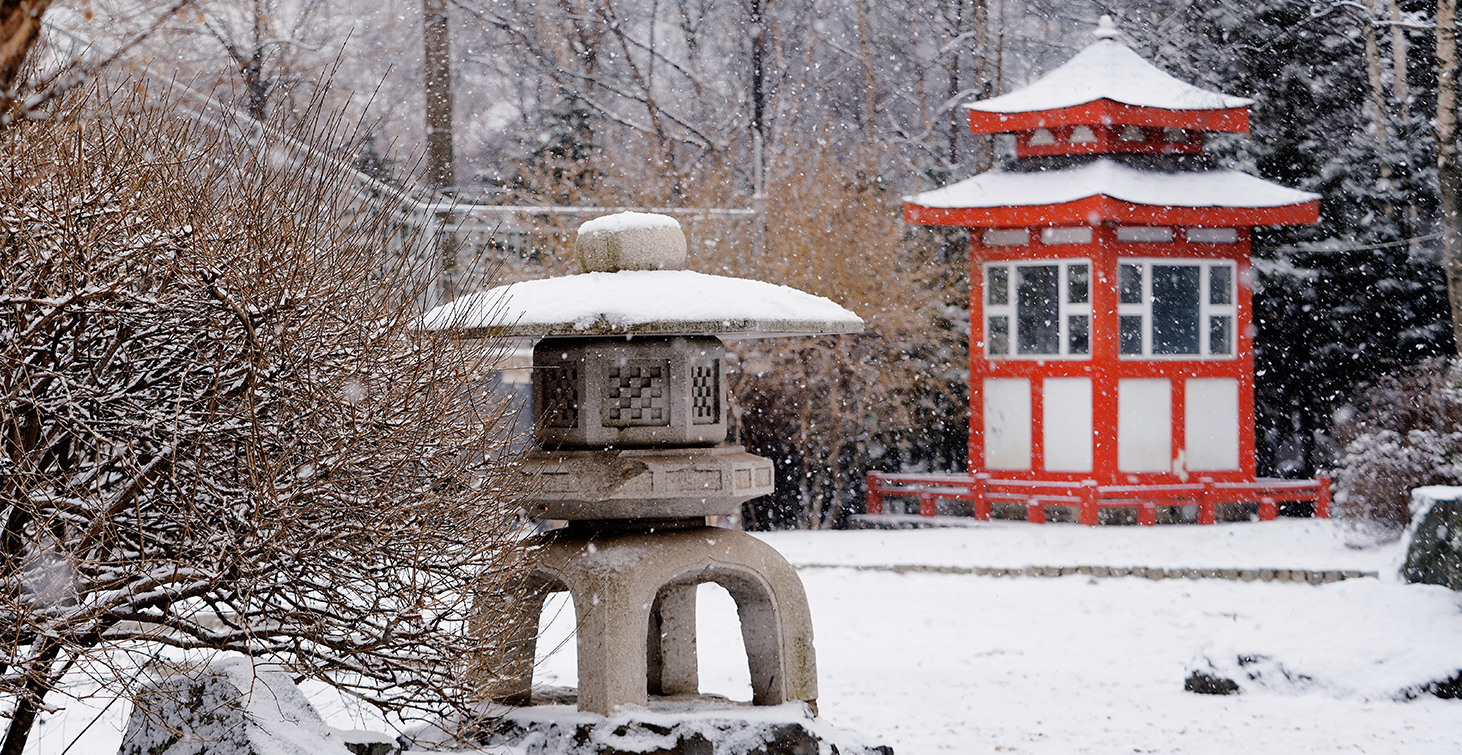 ВВГУ прошел аккредитацию программы «Садово-парковое и ландшафтное строительство»
