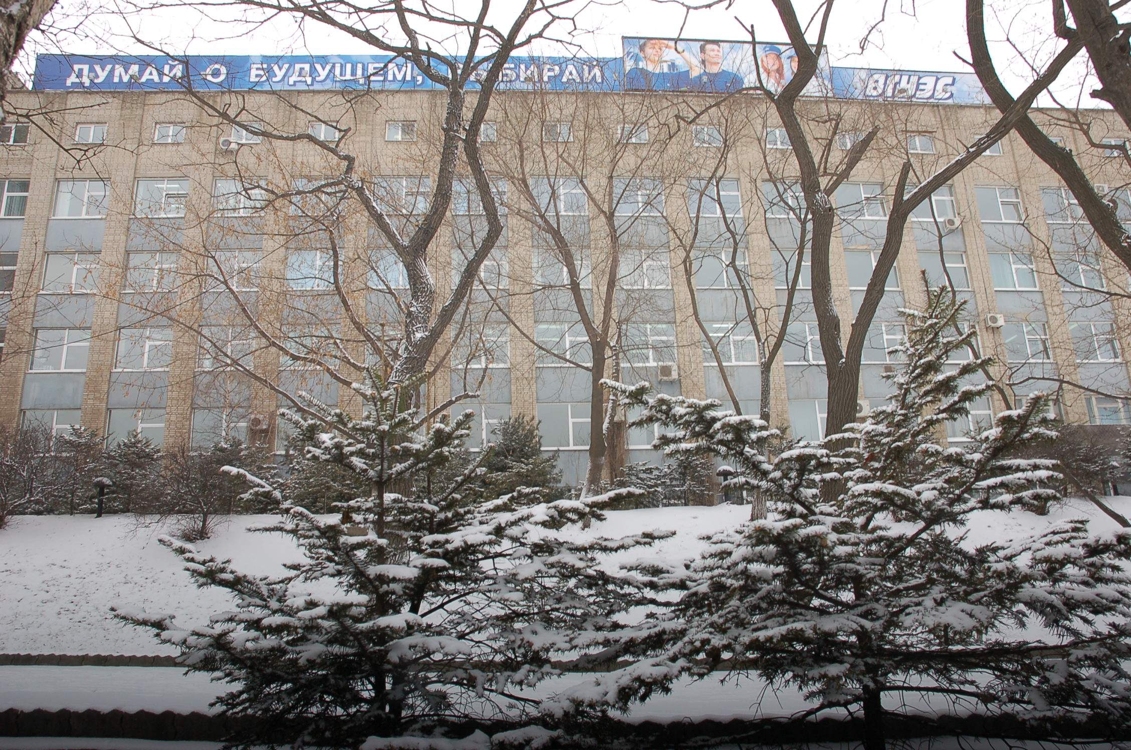 ВГУЭС превратит «Голубиную падь» в стильный лофт, открытый для студентов и всех жителей Владивостока