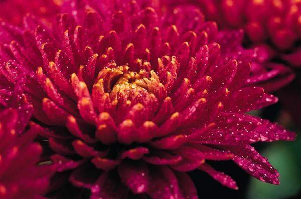 Поздравляем Чен А.Я. с блестящей защитой диссертации на соискание ученой степени кандидата экономических наук