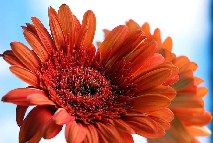 Поздравляем Бедрачука И.А. с получением диплома кандидата экономических наук.