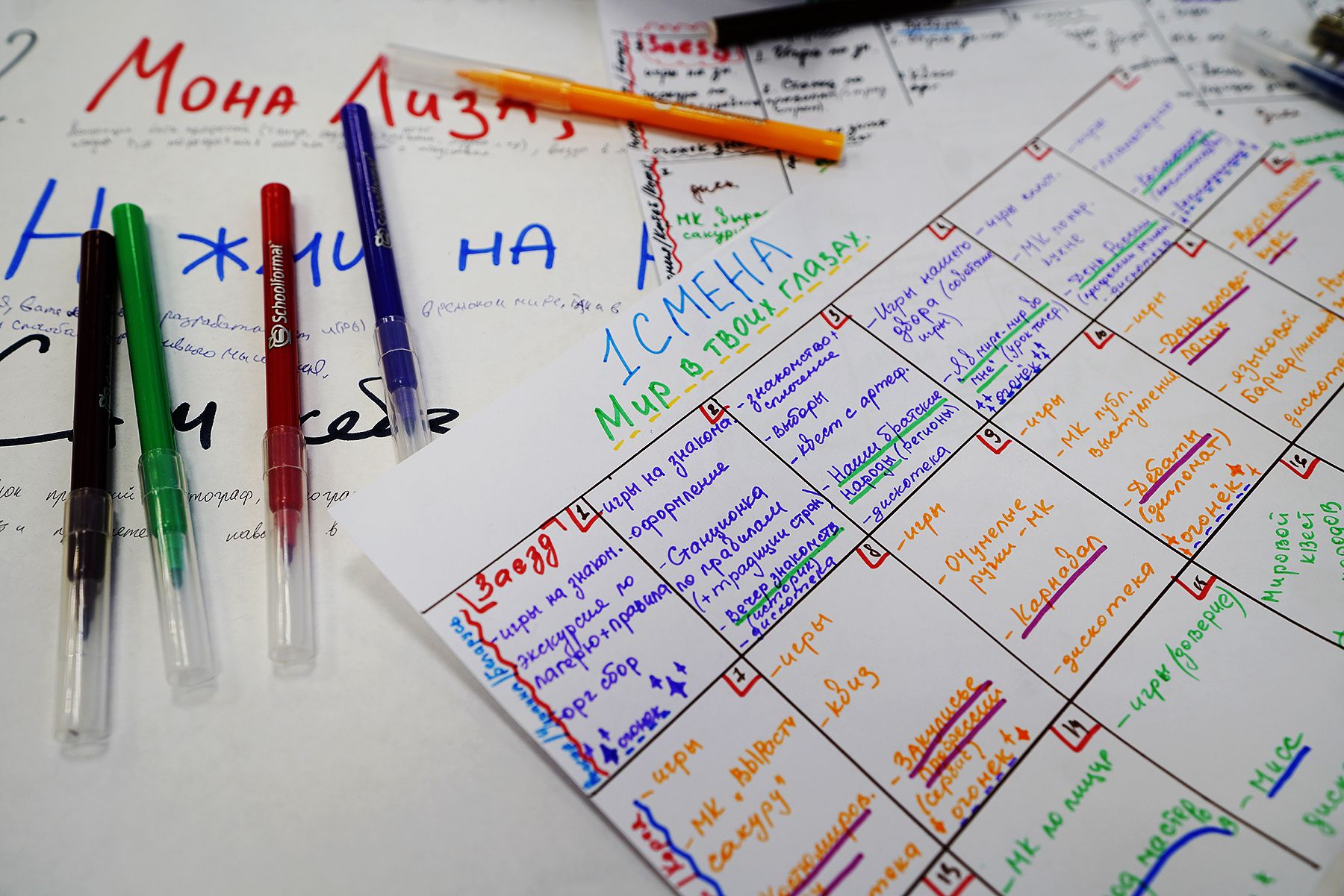 Сотрудники кафедры ФЮП готовят вожатых для российских студенческих педагогических отрядов