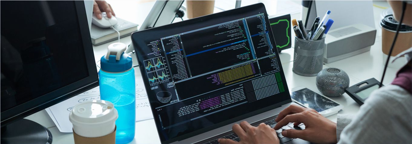 Разработчик веб и мультимедийных приложений