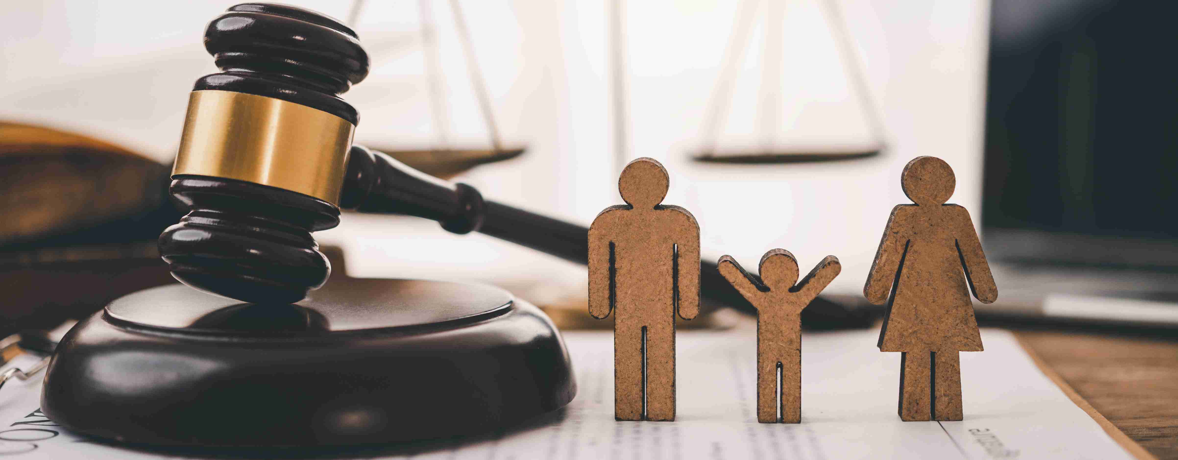 Правовое обеспечение деятельности организаций и оказание юридической помощи физическим лицам и их объединениям